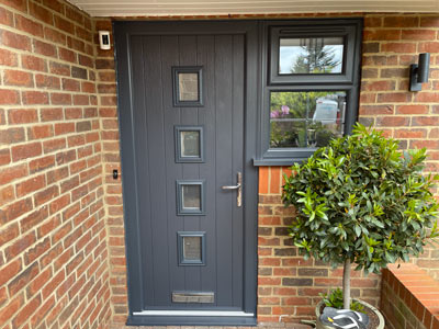 modern front door with glass panels and decorative plant beside